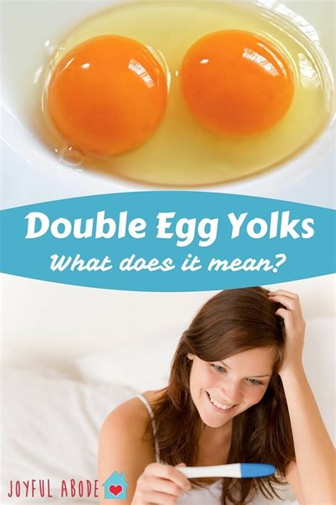 two yolks one egg|Why Are People Superstitious About Double.